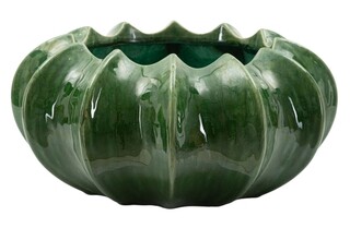 Verde, Cactus
