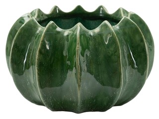 Verde, Cactus