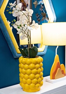 Galben, Lemons