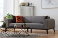 Canapea extensibila 3 locuri, Artie, 560ARE2911, Lemn de fag / PAL, Gri deschis