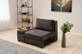 Fotoliu extensibil, Balcab Home, 825BLC4710, Lemn, Antracit
