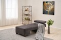 Fotoliu extensibil, Balcab Home, 825BLC4710, Lemn, Antracit