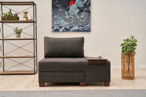 Fotoliu extensibil, Balcab Home, 825BLC4715, Lemn, Antracit
