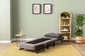 Fotoliu extensibil, Futon, 859FTN2343, Metal , Gri