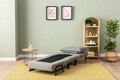 Fotoliu extensibil, Futon, 859FTN2347, Metal , Gri deschis