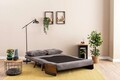 Canapea extensibila 2 locuri, Futon, 859FTN2718, Metal , Gri