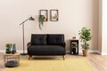 Canapea extensibila 2 locuri, Futon, 859FTN2721, Metal , Negru