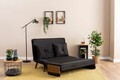 Canapea extensibila 2 locuri, Futon, 859FTN2721, Metal , Negru