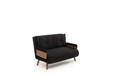 Canapea extensibila 2 locuri, Futon, 859FTN2721, Metal , Negru