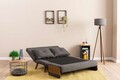 Canapea extensibila 2 locuri, Futon, 859FTN2724, Metal , Gri inchis