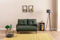 Canapea extensibila 2 locuri, Futon, 859FTN2725, Metal , Verde