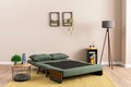 Canapea extensibila 2 locuri, Futon, 859FTN2725, Metal , Verde