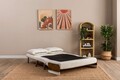 Canapea extensibila 2 locuri, Futon, 859FTN2726, Metal , Alb