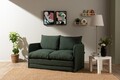 Canapea extensibila 2 locuri, Futon, 859FTN2876, Metal , Verde