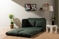 Canapea extensibila 2 locuri, Futon, 859FTN2876, Metal , Verde