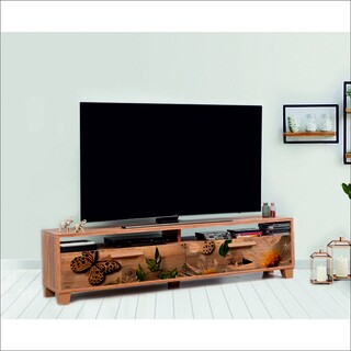 Multicolor, Box Daisy 160