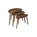 Set masute 3 piese, Hanah Home, Tuval 077, Maro