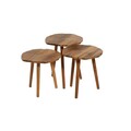Set masute 3 piese, Hanah Home, Tuval 080, Nuc / Stejar