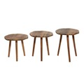 Set masute 3 piese, Hanah Home, Tuval 080, Nuc / Stejar
