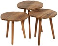 Set masute 3 piese, Hanah Home, Tuval 080, Nuc / Stejar
