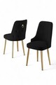 Set scaune 2 piese, Charlotte, Newa, Metal, Negru