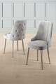 Set scaune 2 piese, Hanah Home, Newa, Gri/Crom