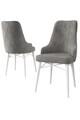 Set scaune 2 piese, Charlotte, Neta, Metal, Gri/Alb