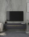 Comoda TV, Olivia, Retrolp1, 120x48 cm, PAL, Antracit / Aur