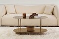 Masuta de cafea, Cerritos, Shb-014-A, 100x45x51 cm, Metal, Auriu