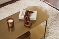 Masuta de cafea, Cerritos, Shb-014-A, 100x45x51 cm, Metal, Auriu