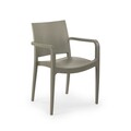 Set scaune 4 piese, Tilia, Specto Xl, Polipropilena, Gri ciment