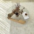Masuta de cafea, Neostill, Mia, 75x35x75 cm, Sticla temperata, Stejar / Transparent