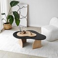 Masuta de cafea, Neostill, Melted, 105x35x65 cm, PAL melaminat, Stejar negru / safir