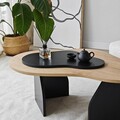 Masuta de cafea, Neostill, Melted, 105x35x65 cm, PAL melaminat, Stejar safir / negru