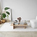 Masuta de cafea, Neostill, Saga Rectangle, 105x35x65 cm, Sticla temperata, Safir / Transparent