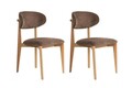 Set scaune 2 piese, Wayland, Lionte, Lemn, Maro / Stejar deschis
