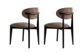 Set scaune 2 piese, Wayland, Lionte, Lemn, Maro / Negru