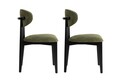 Set scaune 2 piese, Wayland, Lionte, Lemn, Verde/Negru