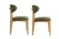 Set scaune 2 piese, Wayland, Lionte, Lemn, Verde / Stejar deschis