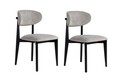 Set scaune 2 piese, Wayland, Lionte, Lemn, Gri/Negru