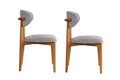 Set scaune 2 piese, Wayland, Lionte, Lemn, Gri / Stejar închis