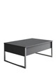 Masuta de cafea, Bexley, Luxe, 90x60x40 cm, PAL, Antracit / Argintiu