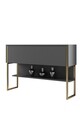 Dulap, Bexley, Luxe, 120x80x30 cm, PAL, Aur/Antracit
