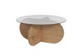Masuta de cafea, Nordure, Aeris, 75x35x75 cm, Sticla temperata , Stejar Safir / Fume