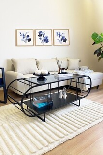 145x47x50 cm, Negru;Fumuriu