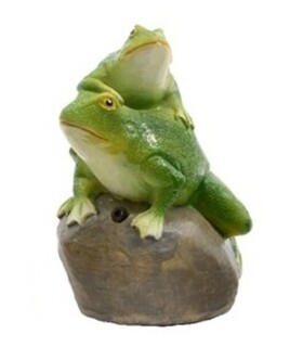 Two Frogs
