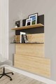 Birou, Elegance, Pooh, PAL, Stejar safir / negru