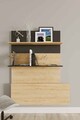 Birou, Elegance, Pooh, PAL, Stejar safir / negru