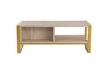 Masuta de cafea, Kalune Design, Haldizen, 105x40x55 cm, PAL, Travertin / Auriu