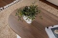 Masuta de cafea, Nordure, Sable, 119x40x60 cm, PAL, Nuc/Alb